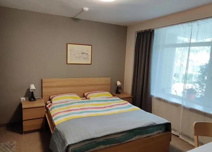 旅馆 埃琳娜旅馆 *